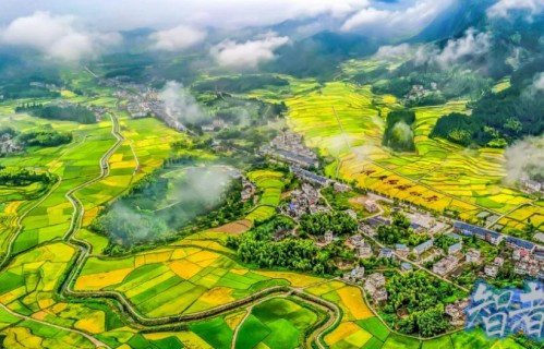 保險 助力高標準農田建設的實踐探索