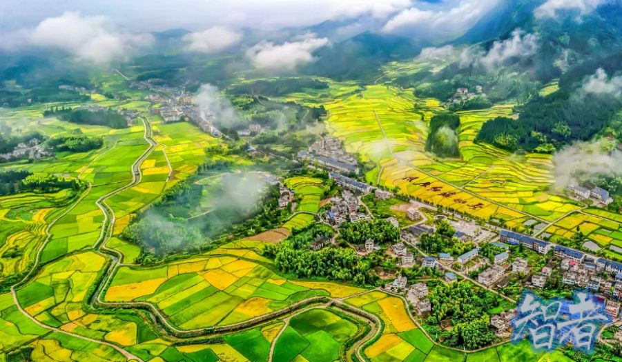 保險 助力高標準農田建設的實踐探索-1.jpg